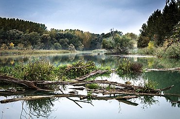 Dunaj vysychá a ničí biznis. Lode uviazli, Slovnaft ide na rieke na polovicu a lodiari varujú pred najhorším